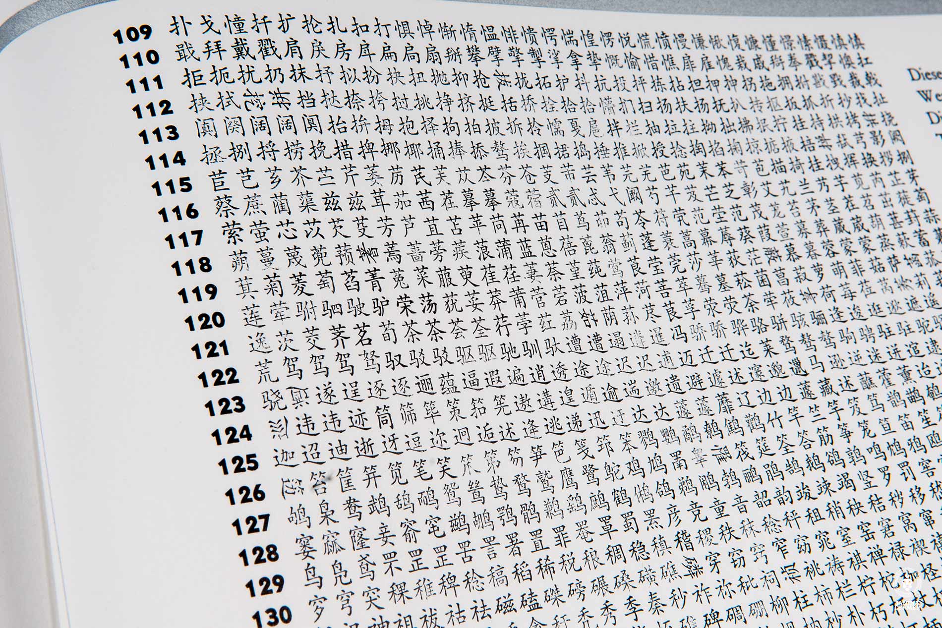 Janina-Lermer-Buchgestaltung-Magazingestaltung-Editorialdesign-Bleisatz-Metaltype-Chinese-Handgedruckt-Handprinted-Werkstatt-Fliegenkopf